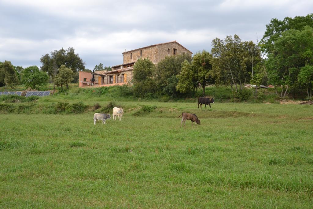Masoveria De Llado Oda fotoğraf